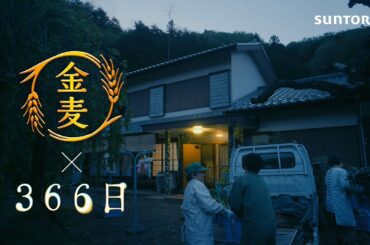 「サントリー金麦」×「366日」 第7話コラボCM　#PR