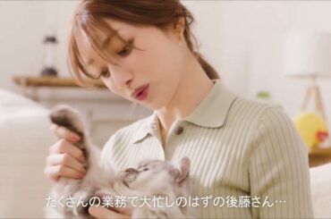 「猫の手もいらない篇」15秒CM 後藤真希さん出演 | 不動産業務効率化サービス いえらぶCLOUD 公式CM