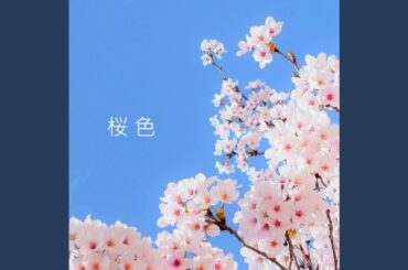 愛の花束