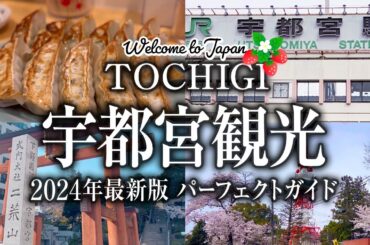 【宇都宮観光 2024年最新版】ここだけは押さえておきたい！地元民に案内された桜満開の栃木旅行オススメスポット 宇都宮グルメ 餃子 宇都宮みんみん 二荒山神社 宇都宮タワー 来らっせ