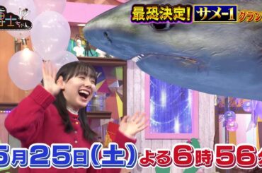 【サンドウィッチマン&芦田愛菜の博士ちゃん】5月25日放送