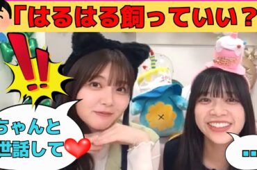 【山口陽世・山下葉留花】キモオタの質問に甘々対応のはるはると、それにドン引きするぱる/文字起こし（日向坂46・showroom）