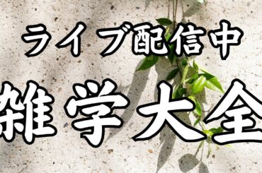 【睡眠導入用雑学】ライブ配信中｜雑学大全｜癒しの BGM付き【寝落ち用•作業用】【朝まで】