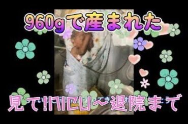 【しゅんちゃんねる☆】NICU～退院までの振り返り🎵#低体重出生児  #nicu #子育て #子育て奮闘中 #子育てママと繋がりたい
