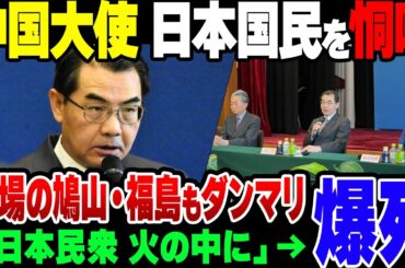 【ゆっくり解説】中国大使「日本の民衆を火の海に」→炎上　その場にいた鳩山由紀夫と福島瑞穂も炎上