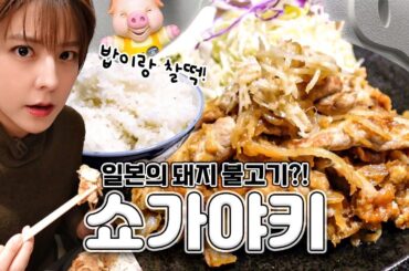 [SUB] 도쿄 맛집 탐방🍚 쇼가야키 편 | 일본 가정식 전문점, 돼지고기 생강구이