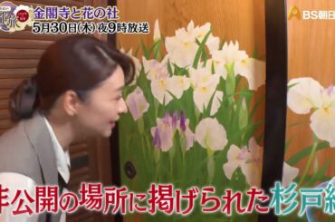 金閣寺と花の社【あなたの知らない京都旅 ～１２００年の物語～】