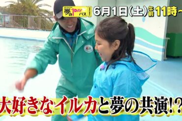 【予告】「夢の１DAYパス」6月1日（土）午前11時～