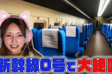 【新幹線0号】ゴマキのギルド史上１番絶叫してる私がみれます【音量注意】