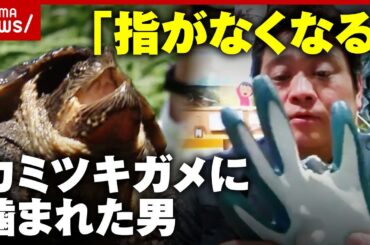 【指がなくなる】「遭遇したらどう対処？」カミツキガメに噛まれた男が解説｜ABEMA的ニュースショー