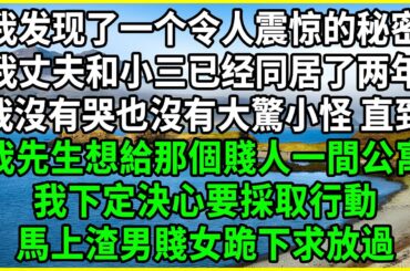 我发现了一个令人震惊的秘密，我丈夫和小三已经同居了两年，我沒有哭也沒有大驚小怪 直到，我先生想給那個賤人一間公寓，我下定決心要採取行動，馬上渣男賤女跪下求放過！#幸福人生 #深夜淺談 #伦理故事