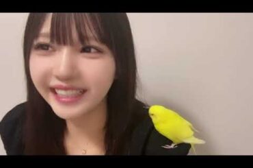 2024年05月26日 17時42分11秒 市原 愛弓（≒JOY）