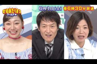 6月1日放送 最強夫婦SP！！長久手VS日間賀島VS清須他 愛知あたりまえワールド☆ テレビ愛知