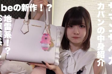 【カバンの中身紹介】&be新商品を一足先に！お出かけした日の久しぶりさマンサベガバッグの中身紹介/ほのぼの編集【のえのん】