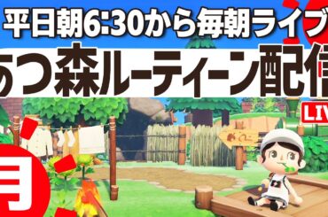 【あつ森】挨拶だけでも大歓迎の朝活ルーティーン配信🌳｜あつまれどうぶつの森｜acnh