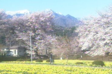 竹内まりや - 人生の扉 (Official Music Video)