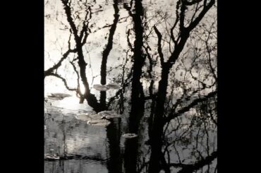 安藤サクラ＆桃子姉妹が表現する、「シャネル」メティエダール コレクションの魅力｜ ELLE Japan