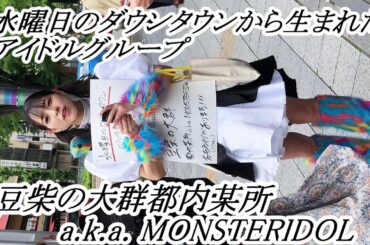 【 豆柴の大群都内某所 a.k.a. MONSTERIDOL 】名古屋、練り歩きに遭遇。可愛かった！