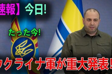 【ウクライナ戦況】最新ニュース 2024年5月29日