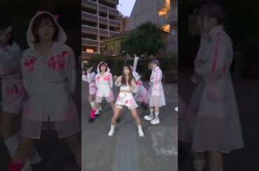 セイハー？👊👊 #shingeki #japanmetal #japanrock