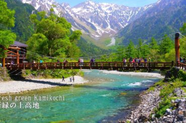 Kamikochi in fresh green is breathtakingly beautiful! Here are some standard courses.