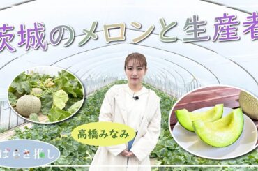 いばらき推し「茨城のメロンと生産者」【出演：高橋みなみ】