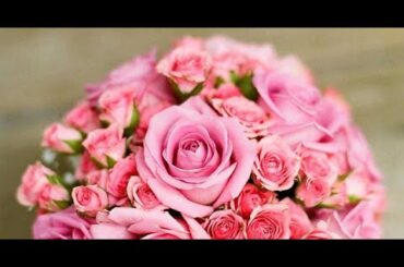 T2- RCC元アナ・河村綾奈、カープ新井良太コーチと結婚【報告全文】 ラジオリスナーも歓喜