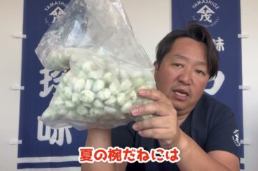 2024/5/28【豊洲市場】山茂／『あおさ入り小粒つみれ』