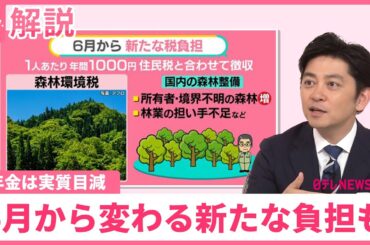 【6月から変わる新たな負担も】年金支給額「2.7％」UPも──“実質目減り”のワケ　6月から森林環境税…都市部でも？配分と使い道は【#みんなのギモン】