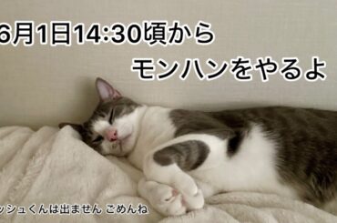 【第22回生配信】モンハンをやるよ【佐々木琴子】