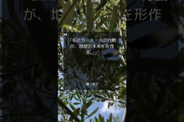 【名言10選】環境活動家に贈る、地球を救うための名言 #SHORTS #名言