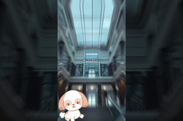 朝ドラ「虎に翼」裁判官編がスタート！寅子は、なぜ裁判官を選んだのでしょうね？