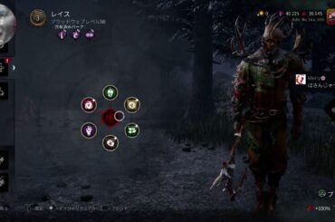 【DBD】あと半年で正月だと#初見歓迎#本田翼大歓迎#クリーンな配信者#顔出しVtuber