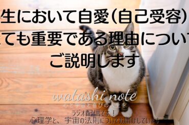 人生において自愛（自己受容）がとても重要である理由についてご説明します