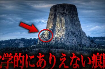 【ゆっくり解説】超古代に実在した世界を覆う巨大樹が存在した証拠…科学的に説明ができない理由がヤバすぎる…【総集編  都市伝説  ミステリー】