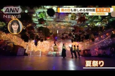 雨の日も楽しい！新感覚フラワーパーク　表情で変わる光の演出も【グッド！いちおし】【グッド！モーニング】(2024年6月6日)