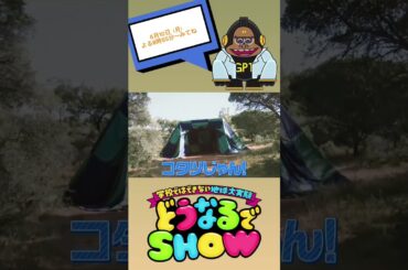 #中尾明慶 “アフリカのサバンナにこたつを置いたら動物たちはどうなる？”『どうなるでSHOW』