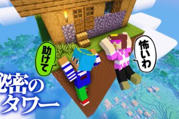 秘密のタワーを登ってみた結果！？【まいくら / マインクラフト】
