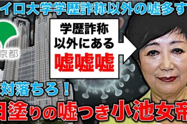 【小池百合子おちろ！】都知事はあまりに嘘つき！「情報公開は東京大改革の一丁目一番地」で、黒塗りをやめて白塗りで、公約実現！安冨歩元東京大学教授。一月万冊