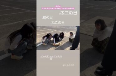 櫻坂46 猫と戯れる三期ちゃん♪ 向井純葉 村井優 小田倉麗奈 石森璃花 遠藤理子