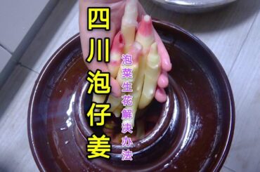 用新鲜仔姜做一坛四川泡菜，顺便分享泡菜生花的解决办法，超实用