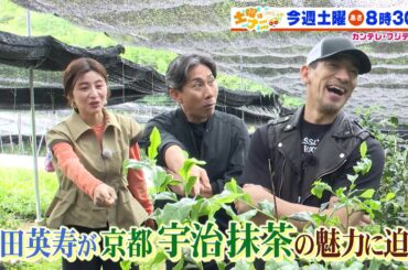 土曜はナニする！？6/15(土)放送【伊沢拓司が水田信二＆小池美由と人気の裏側に潜入！中田英寿＆宇賀なつみ＆前園真聖と京都へ！】