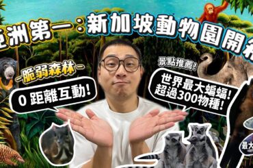 【世界動物園開箱】亞洲第一新加坡動物園!"脆弱森林"開箱!0距離互動!世界上最大蝙蝠!展翅2公尺!比人還大?0距離互動!一次科普35種動物!【許伯簡芝】