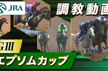 【調教動画】2024年 エプソムカップ｜JRA公式