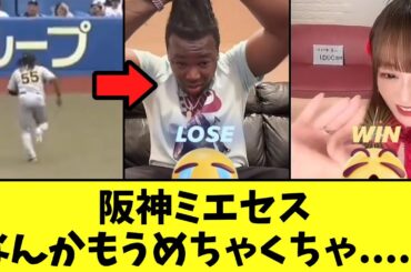 【悲報】阪神ミエセス　なんかもうめちゃくちゃ......