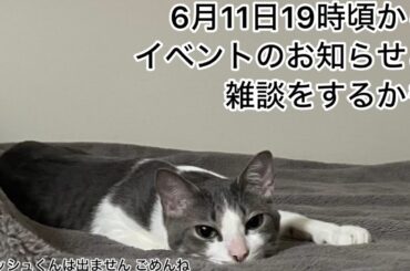 【第23回生配信】イベントのお知らせと雑談をするかも【佐々木琴子】