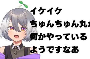 近況報告と今月のお知らせ【イケイケちゅんちゅん丸】【#vtuber 】