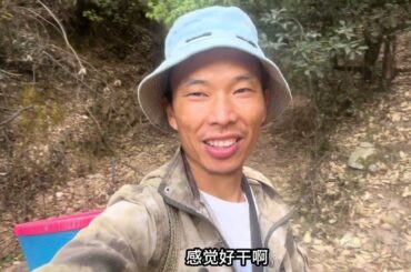 雲南大山里野味真多，跟隨媳婦進山摘野菜找香蕈，收穫真不錯