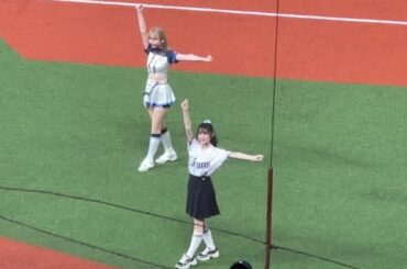 【今年も振り付け完璧】 向井葉月さん(乃木坂46)が踊る『吠えろライオンズ』【西武vs広島】2024/6/13 セパ交流戦15戦目