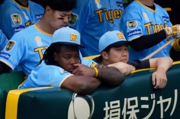 【ハイタッチちゃうんかーい】降板後のベンチでミエセスと仲良く隣同士でイチャイチャする才木浩人 2024.6.9